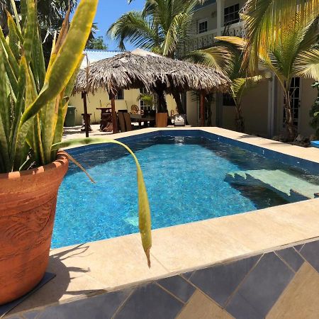 My Own Paradise Resort Bonaire Kralendijk  Ngoại thất bức ảnh